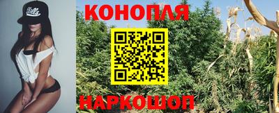 крисы Коммунар