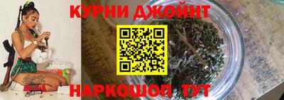 крисы Коммунар