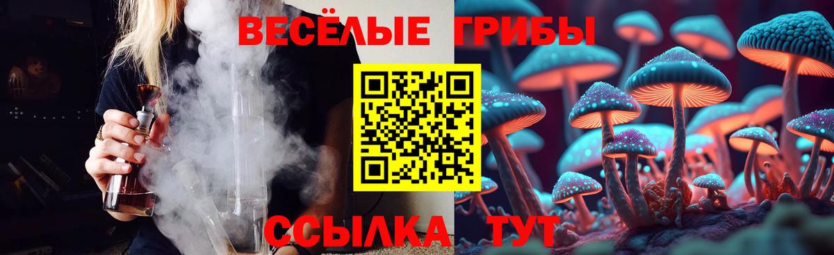 Галлюциногенные грибы прущие грибы  Вход с VPN  Верхняя Пышма  Псилоцибиновые грибы MAGIC MUSHROOMS 